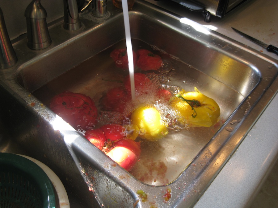 Making tomato sauce July 2014