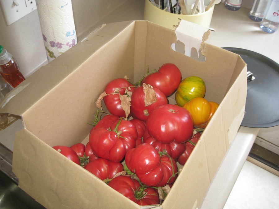 Making tomato sauce July 2014