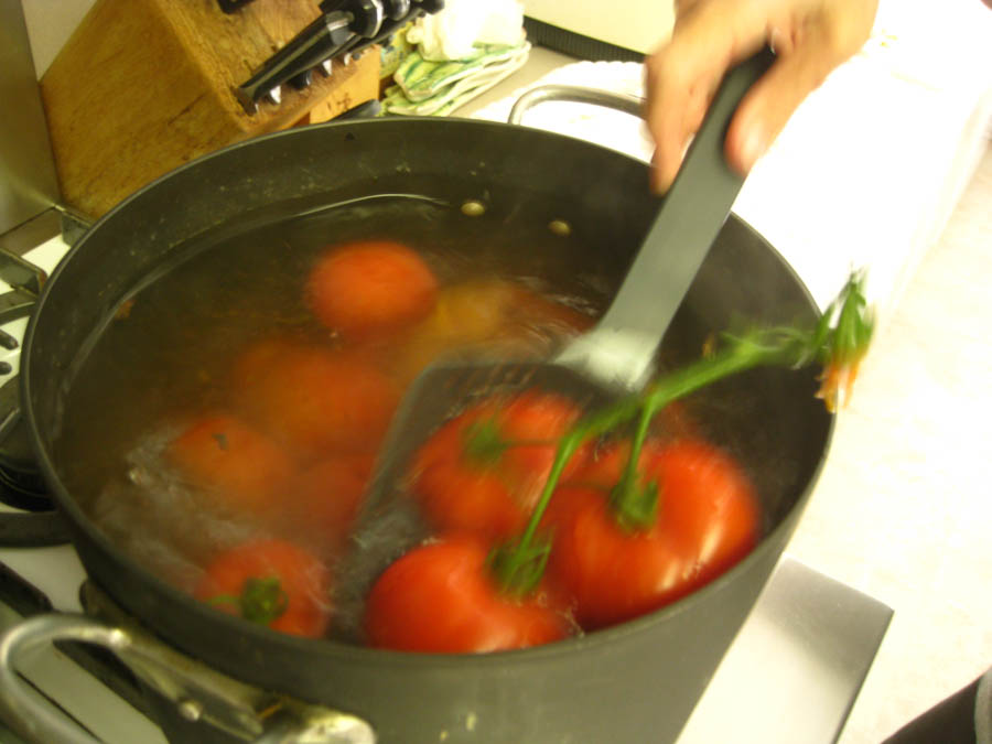 Making tomato sauce June 25th 2015