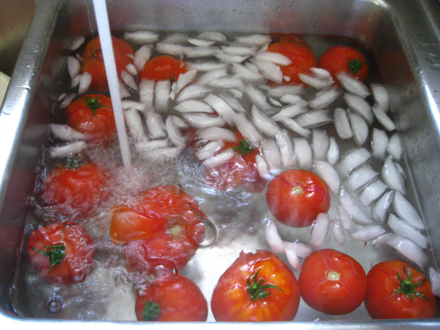 Making tomato sauce June 25th 2015