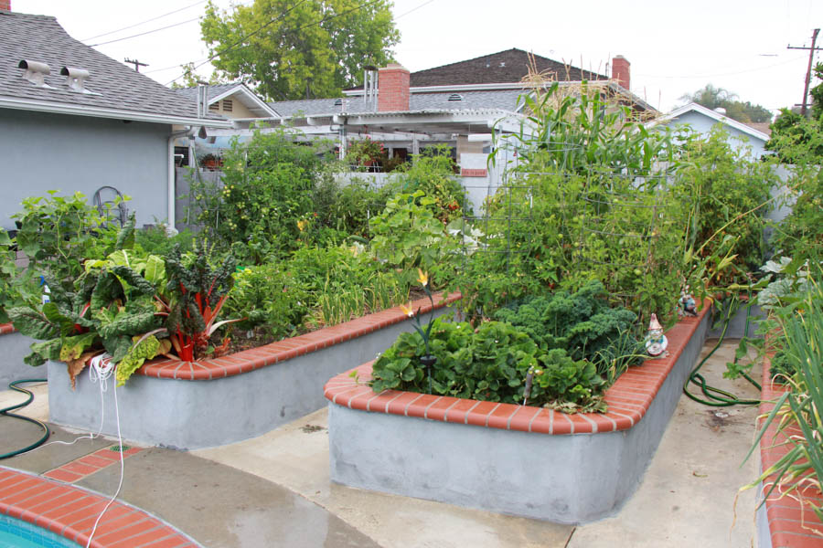 Paul and Sue's Vegetable Garden June 2016