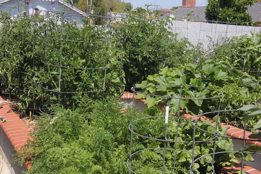 The beginning of May in the Liles' Garden