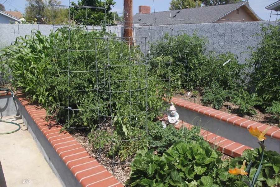 The beginning of May in the Liles' Garden