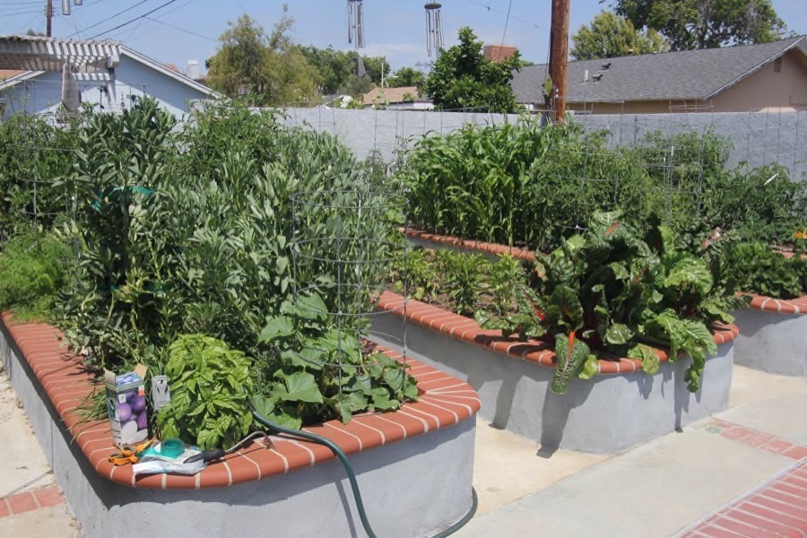 Paul && Sue's backyard garden May 1st 2016