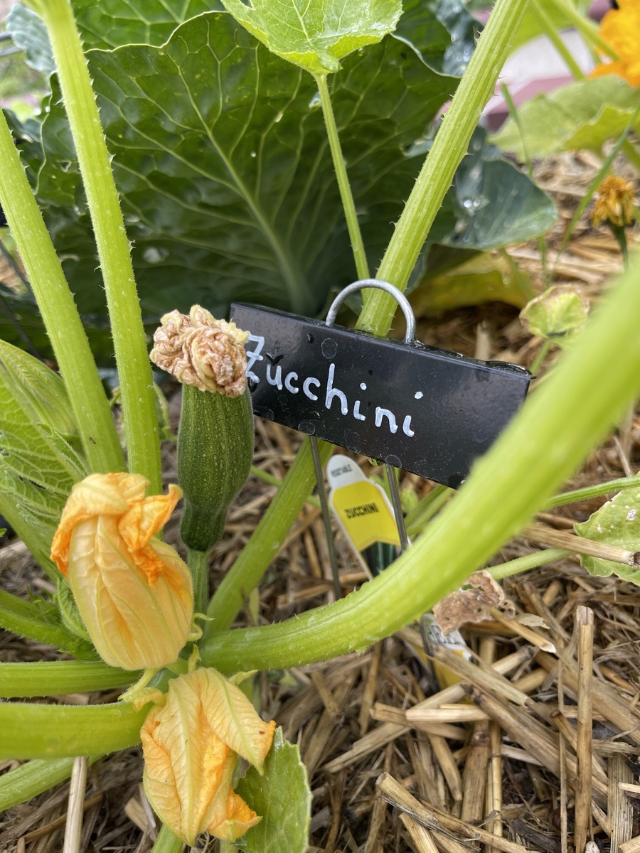 May 2023 In The Garden