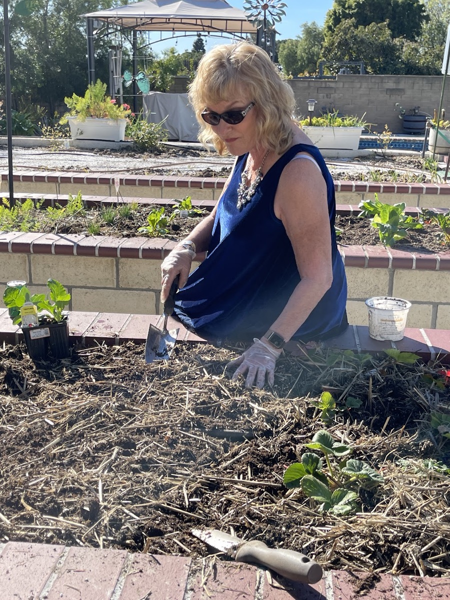 Casa VAlencia Gardens being made and the first crop, winter 2022