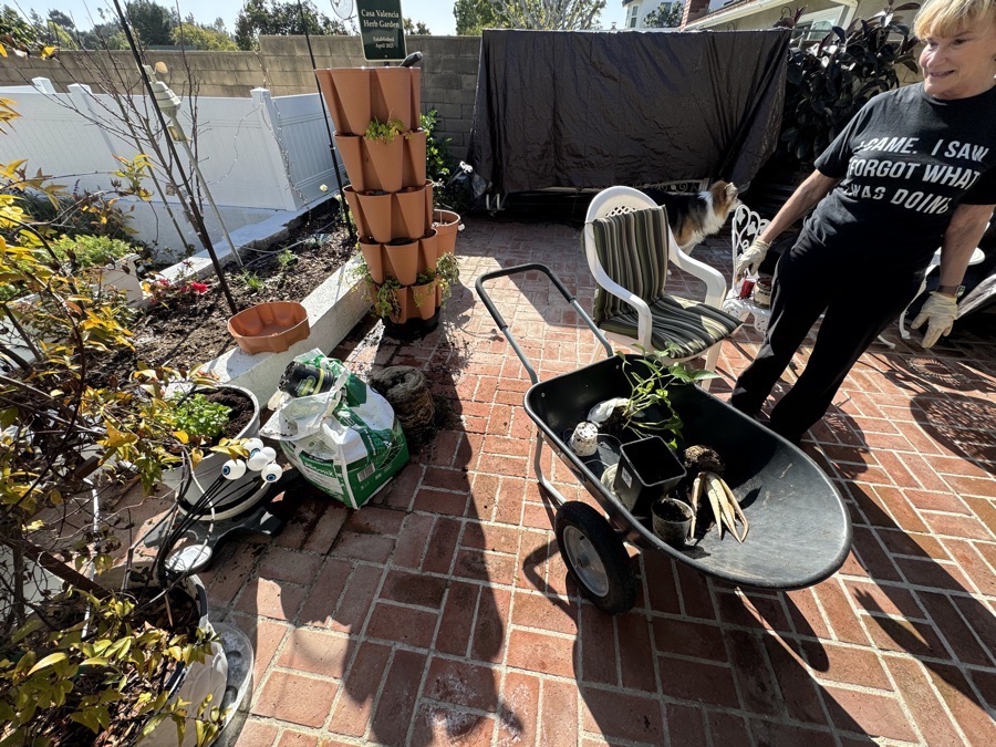2004 garden month by month