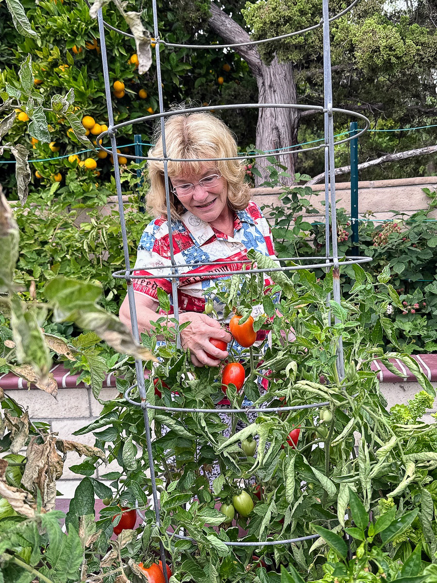 2026 In The Garden