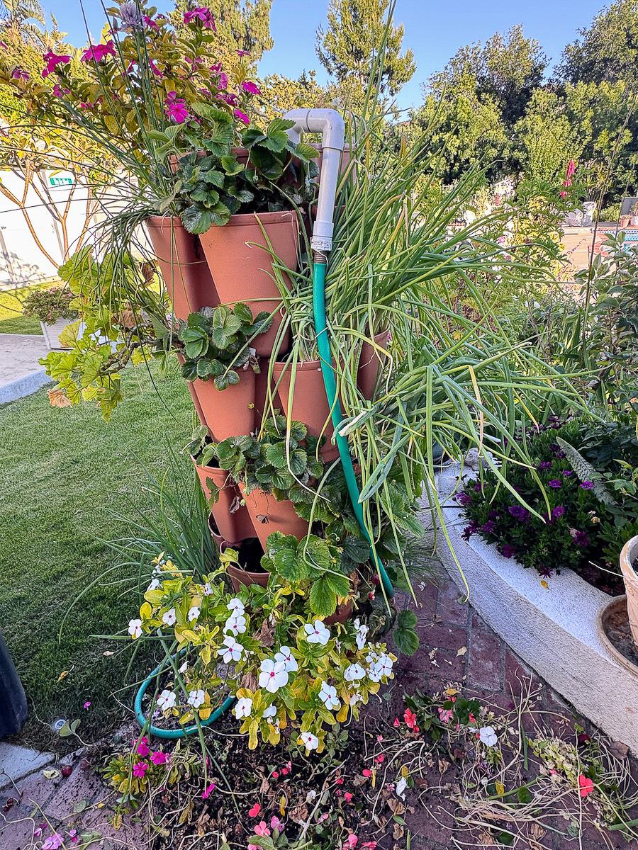 2026 In The Garden