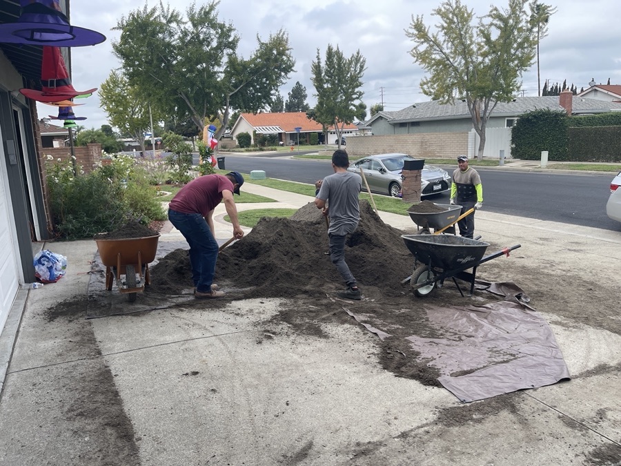 The New Valencia Garden Comes To Life