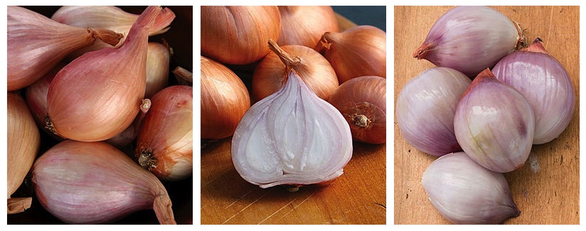 Shallots