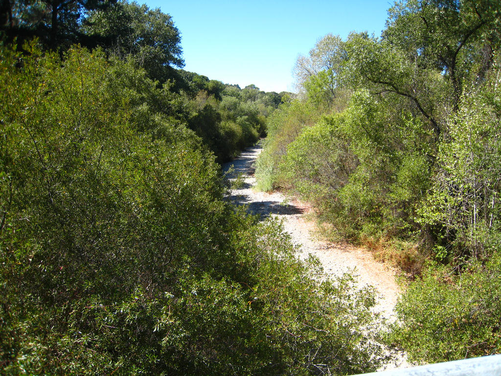 Carmel River Flows Through The Center!