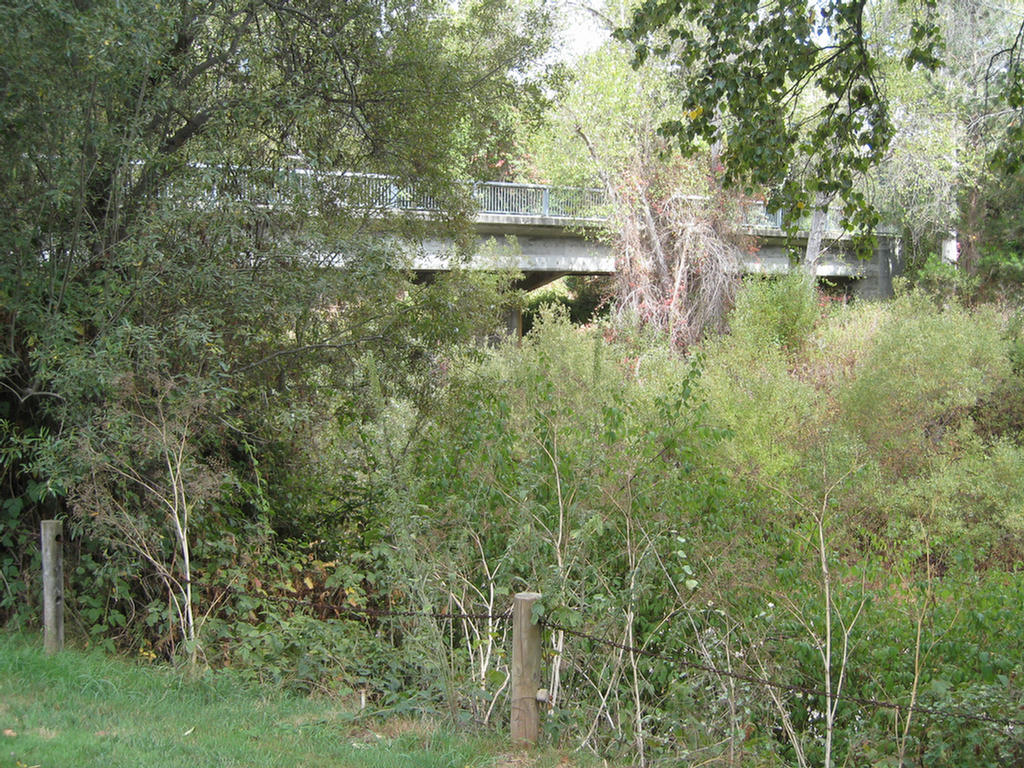 10th Hole Bridge