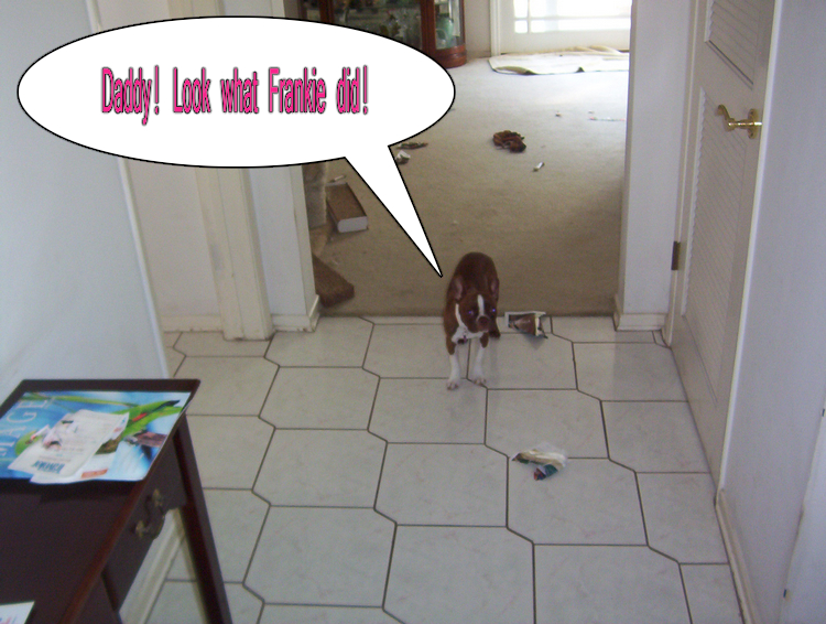 Frankie gets into trouble
