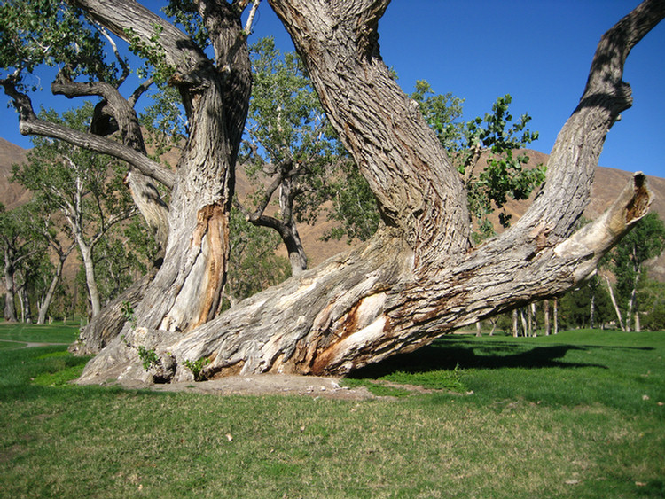 Soboba Springs November 2009