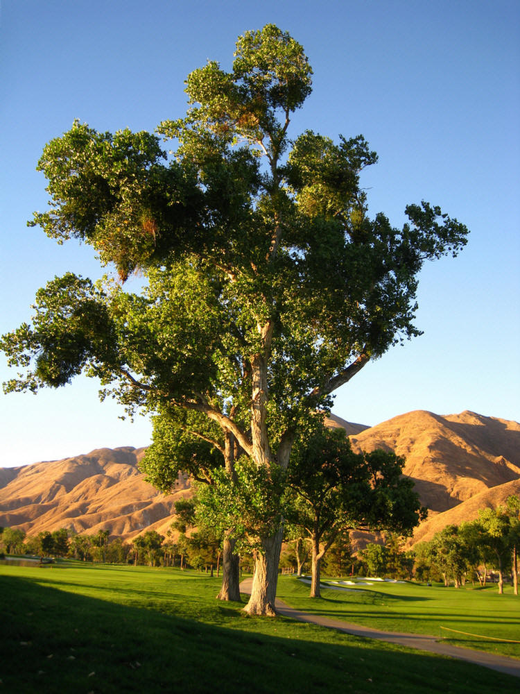 Soboba Springs November 2009