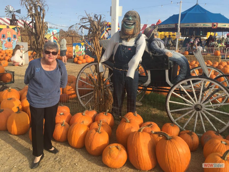 Selecting Our Pumpkins