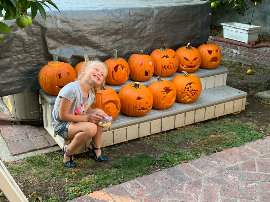 Carve those pumpkins October 26th 2019