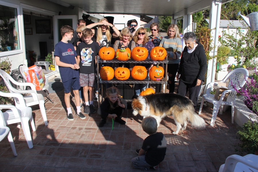 Pumpkin carving 2021 at Casa Valencia