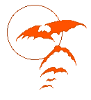 Bats