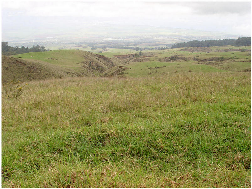 Maui ATV Adventure