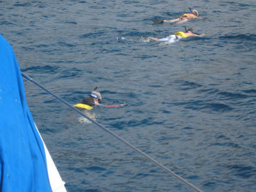 Lanai Vacation 2008 Snorkeling Adventure On The Trilogy