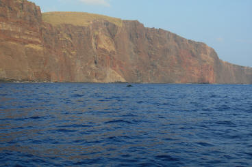 Lanai Vacation 2008  Sunset Cruise With The Whales