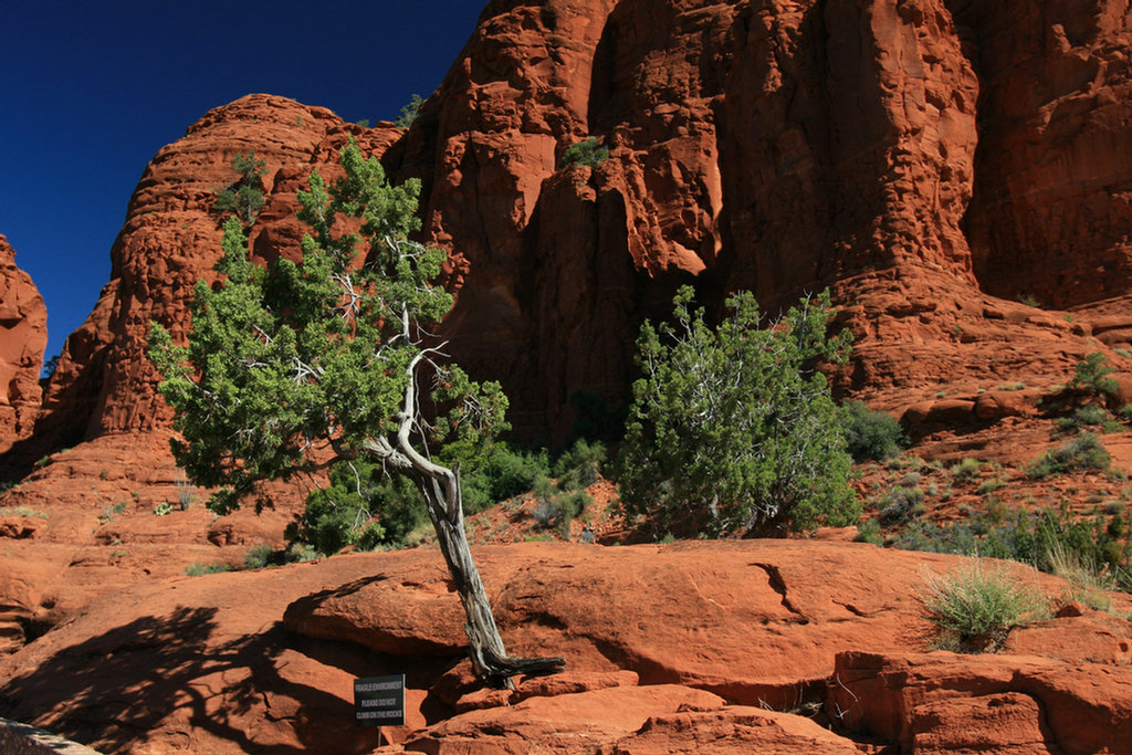 Sedona Jeep 2008