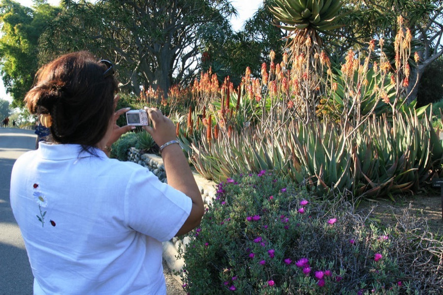 Huntington Library & Gardens