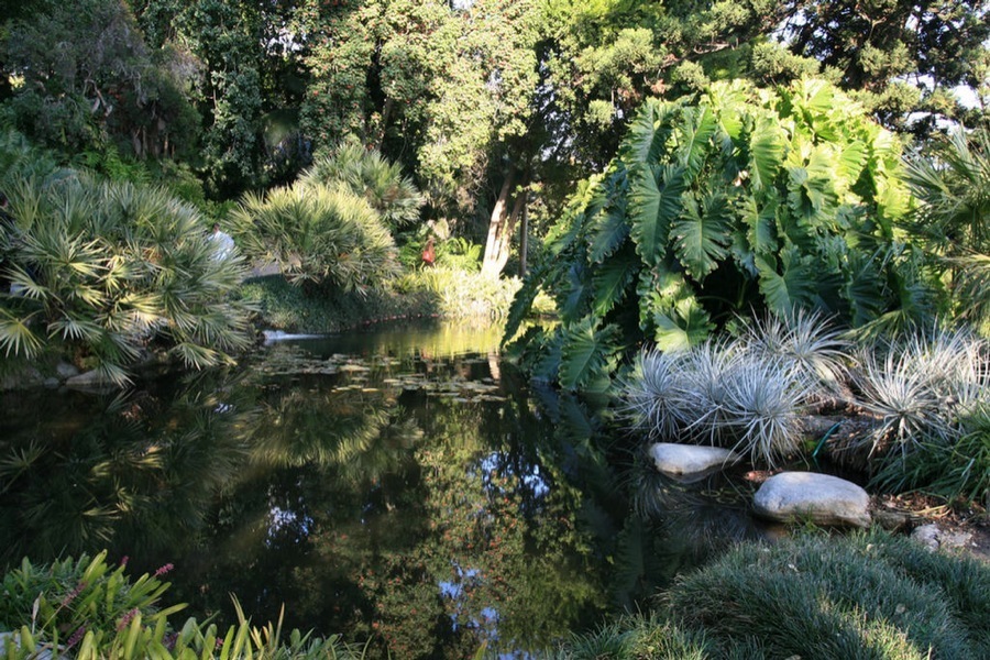 Huntington Library & Gardens