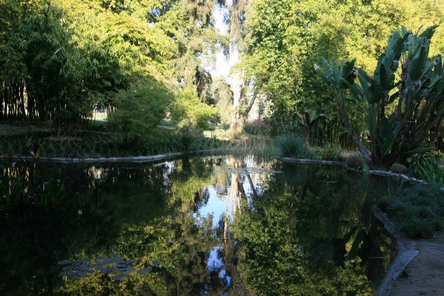 Huntington Library & Gardens