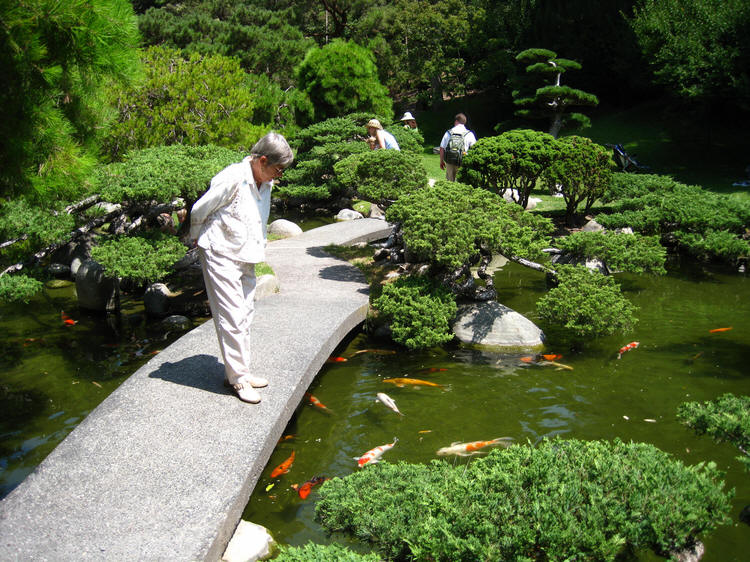 Sue enjoys the Koi