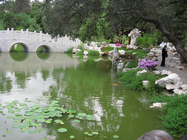 Chinese Garden