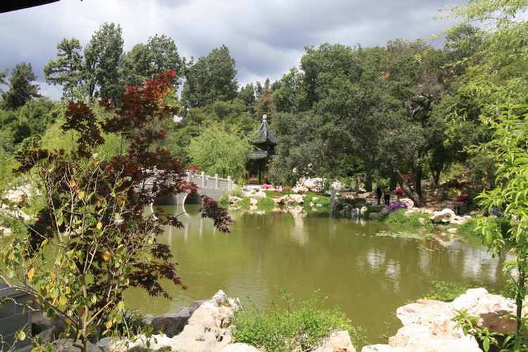 Oriental gardens at the Huntington 2009