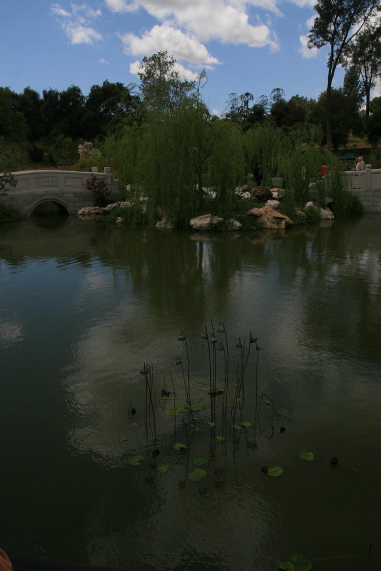 Oriental gardens at the Huntington 2009