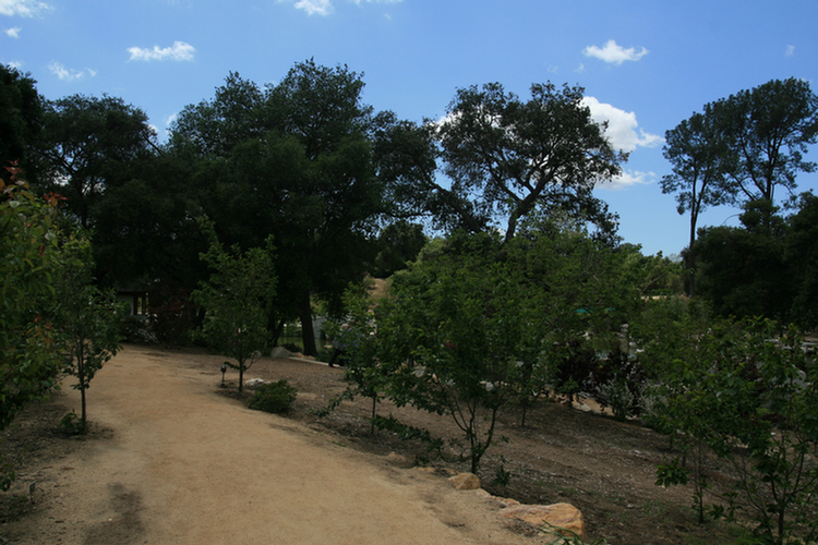 Oriental gardens at the Huntington 2009