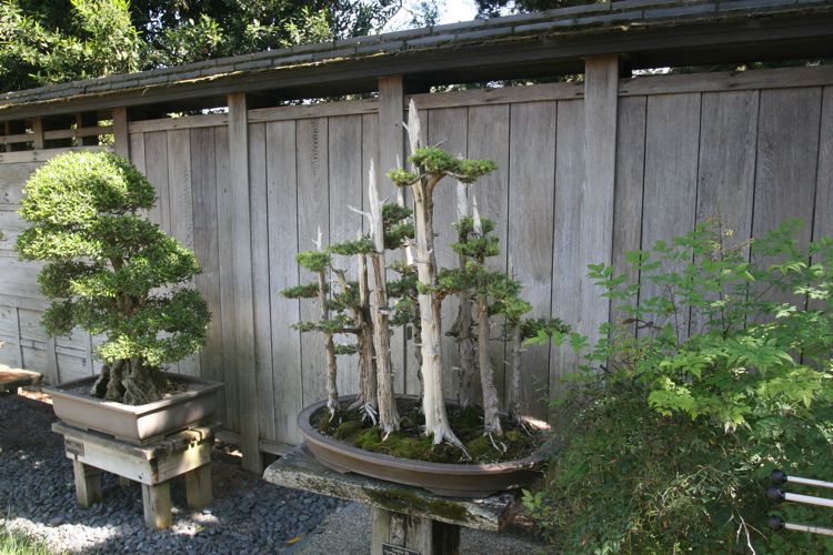 Huntington Japanese and Chinese Gardens