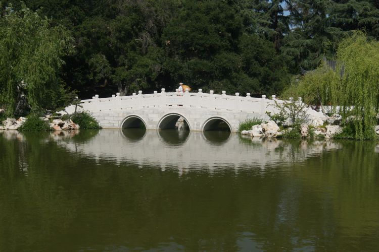 Huntington Japanese and Chinese Gardens