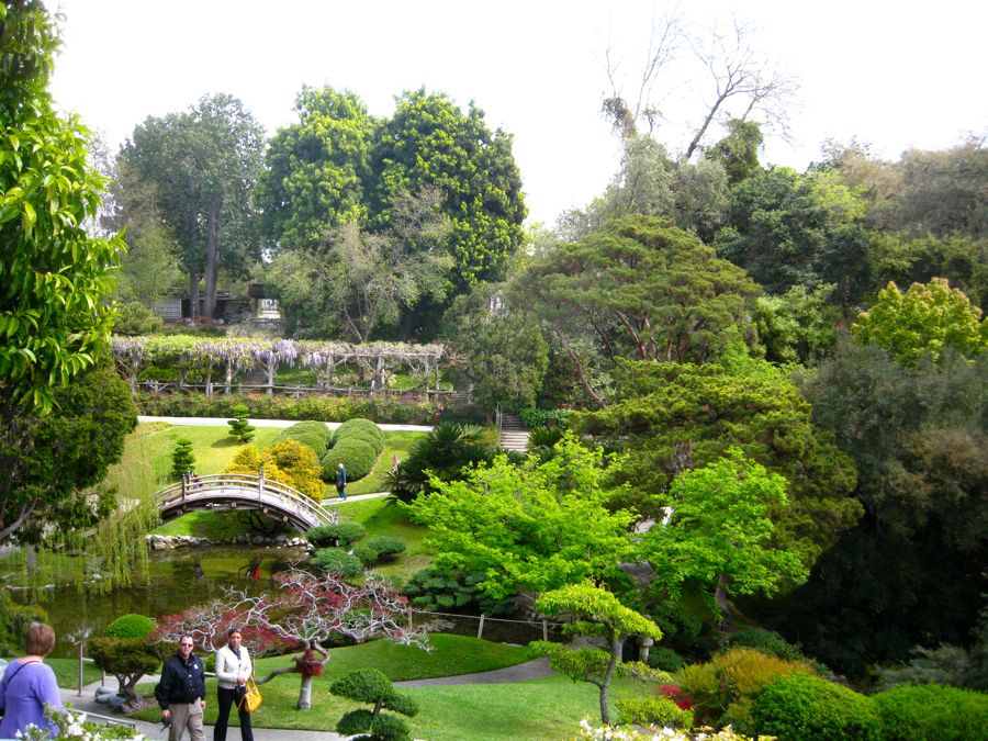 Visiting the Huntington Library &  Gardens