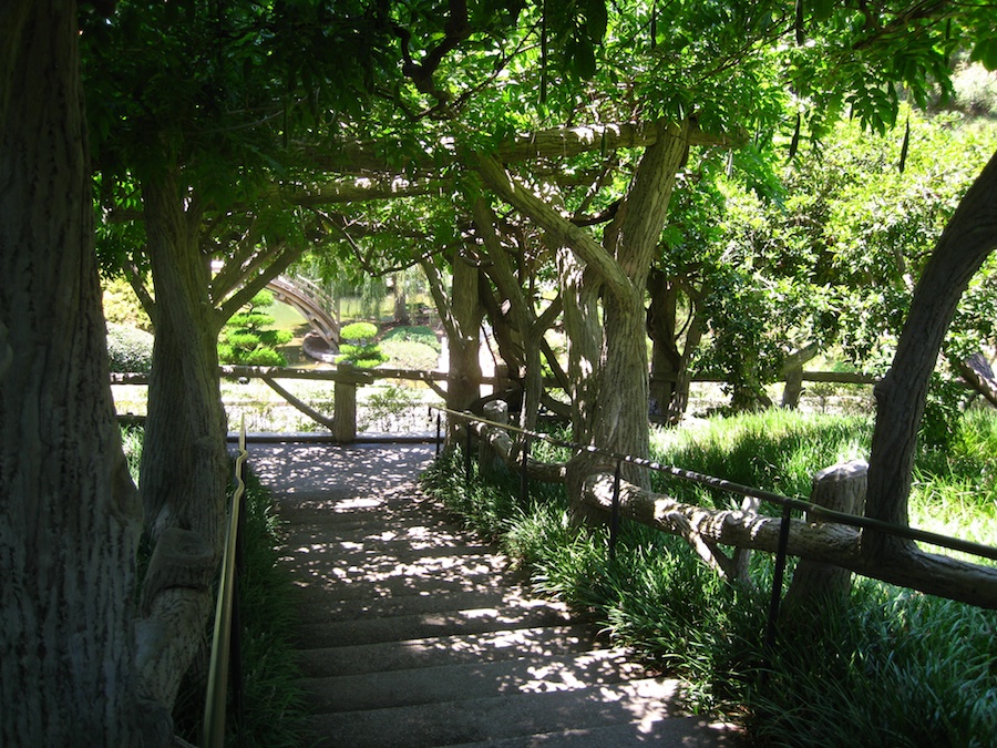 Japanese & Rose Gardens