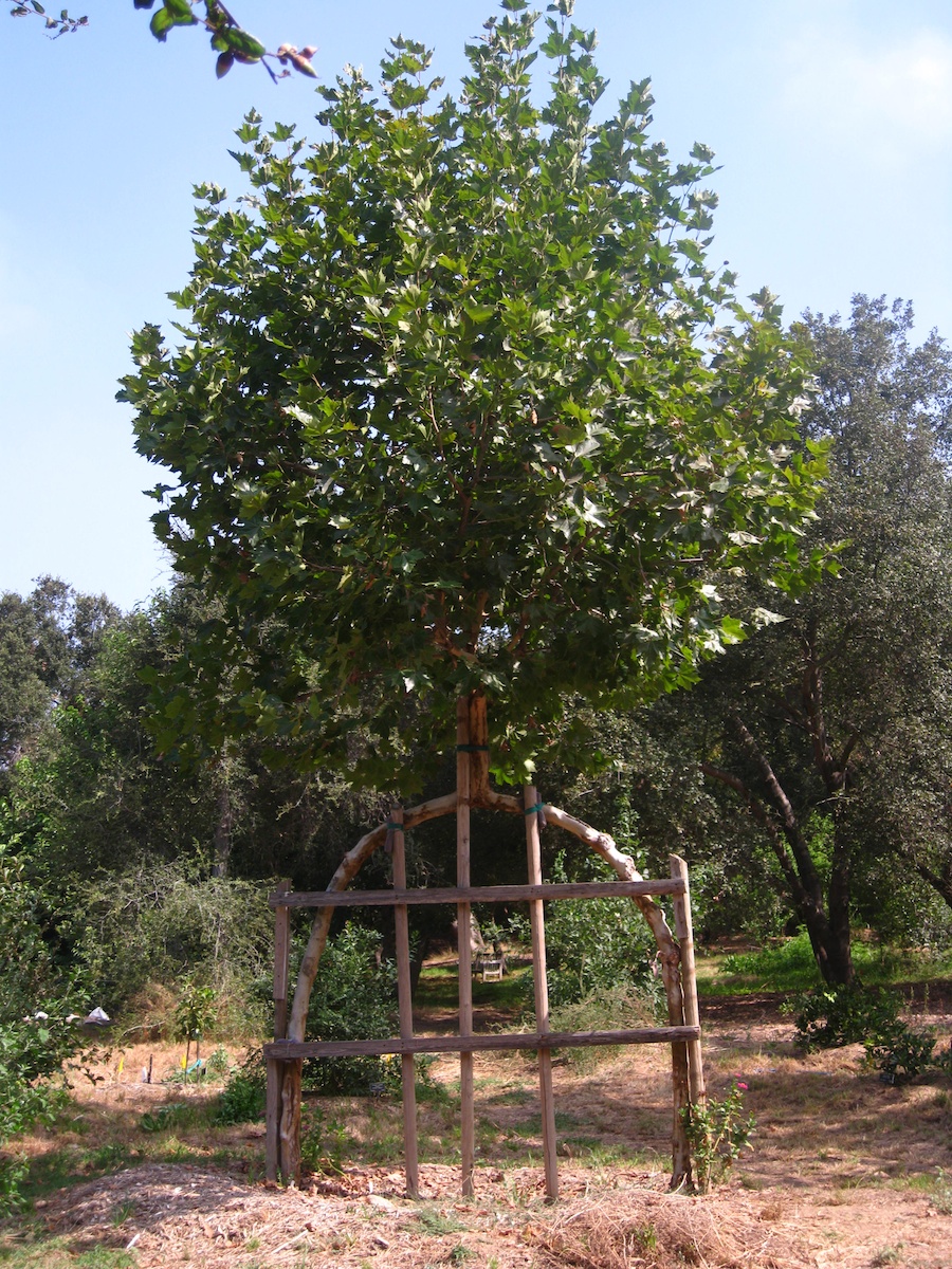 A visit to the educational center at the Huntington Gardens