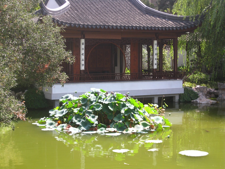 A visit to the educational center at the Huntington Gardens