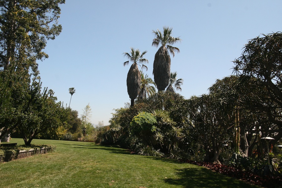 Celebrating five years retired at Huntington Gardens