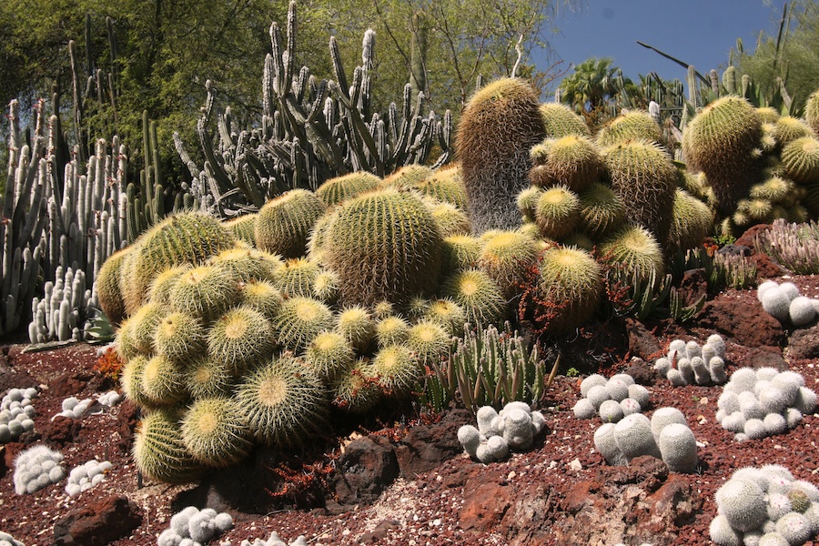 Celebrating five years retired at Huntington Gardens