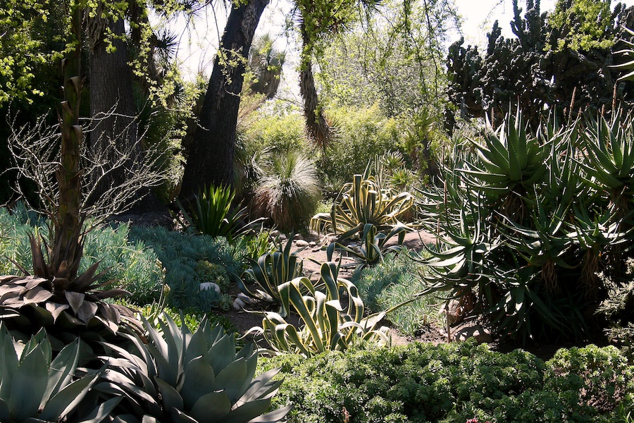 Celebrating five years retired at Huntington Gardens