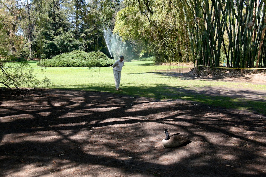 Celebrating five years retired at Huntington Gardens