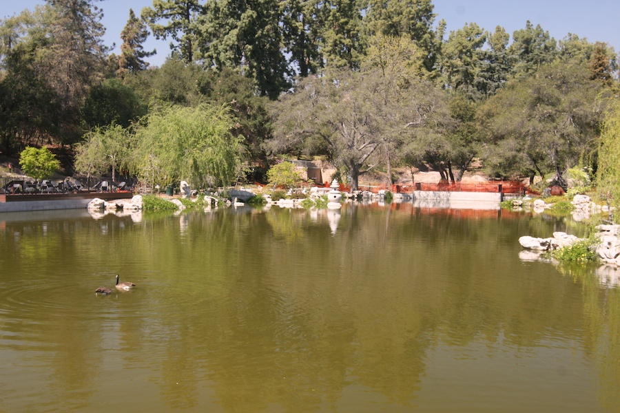 Celebrating five years retired at Huntington Gardens