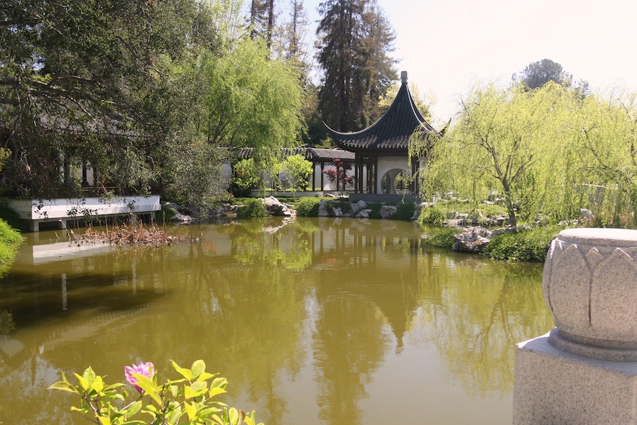 Celebrating five years retired at Huntington Gardens