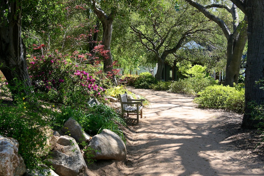 Celebrating five years retired at Huntington Gardens