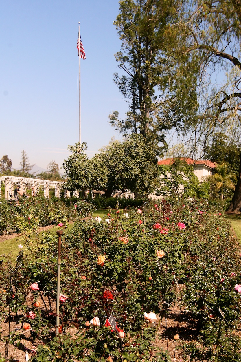 Celebrating five years retired at Huntington Gardens